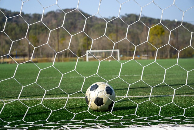 分能力著称 分能力著称