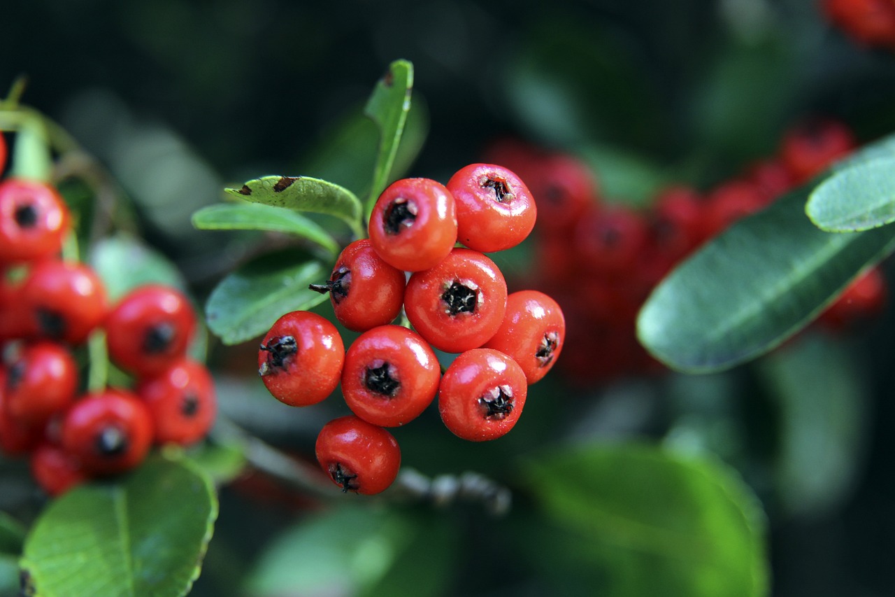 师级别的表 师级别的表