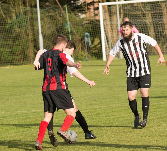 技体育中 技体育中